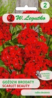 @Goździk brodaty o kwiatach pojedynczych Scarlet Beauty 0,5g - Legutko