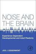 Noise and the Brain: Experience Dependent