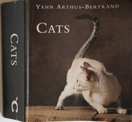 CATS Photographer Yann Arthus-Bertrand KOTY