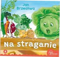 Na straganie