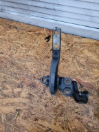 hinges door front TESLA X
