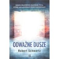 Odważne dusze Robert Schwartz