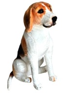 Beagle sediaci 65cm