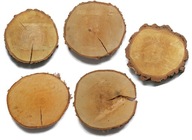 Plátky dreva 5 ks na záhradnú cestu 20-25 cm