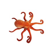 Chobotnica 47cm