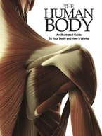 The Human Body: An Illustrated Guide To Your Body