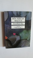 BOG RZECZY MALYCH - Arundhati Roy