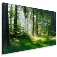 Obraz na stenu STROMY Les Zeleň Príroda 3D 120x80