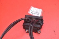 coil ignition RENAULT CLIO 2 II 1.2 16V 75 KM LIFT 01-05