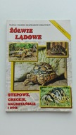 Żółwie lądowe Elena Szapkarow-Orłowska