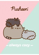 ZESZYT SZKOLNY A5/32K KRATKA PUSHEEN RÓŻNE OKŁADKI