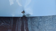 door right front TOYOTA YARIS CROSS 21