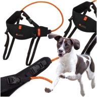 PAS DO BIEGANIA Z PSEM JOQU CANICROSS BELT PLUS CZARNY S/M