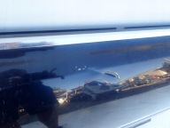 AUDI A8 4E0 02-09 door left front front