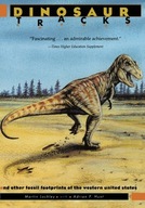 Dinosaur Tracks and Other Fossil Footprints of