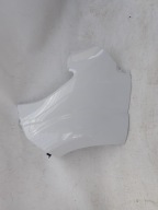 FIAT DUCATO III 3 LIFT 14-> fender front front left