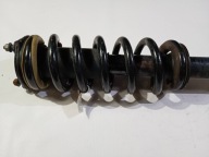 shock absorber mcperson front front ze spring Dodge RAM 1500 2019