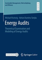 Energy Audits: Theoretical Examination and