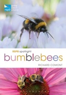 RSPB Spotlight Bumblebees Comont Richard