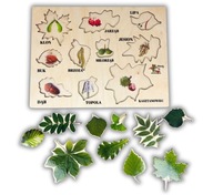 Jarné listy, druhy stromov, Montessori puzzle