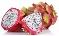 Kaktusz Piros Pitaja, Sárkánygyümölcs, finom gyümölcsök otthon, magok 20 darab