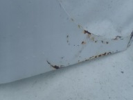LEXUS RX III 08-12 fender right front front