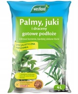 Westland Podłoże do Juki Palmy Dracen z Seramis 4L