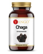 Chaga extrakt 10% polysacharidov 90 kaps Yango