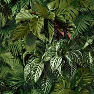 Zelená vliesová tapeta na stenu, tropické listy