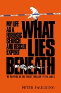 What Lies Beneath: My life as a forensic search