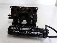 header pipe + nozzles SIEMENS RENAULT TWINGO and