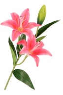 Kwiat sztuczny LILIA gałązka 65 cm jak żywy różowy