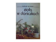 Zioła w doniczkach - praca zbiorowa