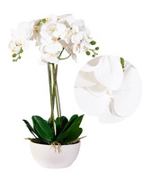 UMELÁ ORCHIDEA SILIKONOVÁ veľká biela gumové listy do obývačky ako darček