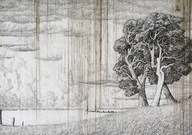 Fototapeta flizelinowa 312x219 Krajobraz - drzewo na starym papierze +klej
