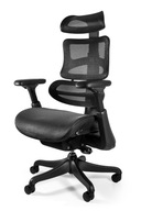 Fotel ERGOTHRONE Czarny Ergonomiczny Obrotowy