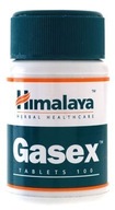 Gasex 100 tabliet Himalaya
