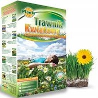 Trawa gazonowa Trawnik Kwiatowy 0,9 kg Planta