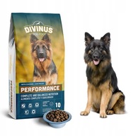 Divinus Performance dla owczarka niemieckiego 10kg