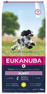 Eukanuba Puppy Medium Karma sucha dla szczeniaka op. 15kg