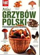 Atlas GRZYBÓW POLSKI przewodnik grzybiarza; album
