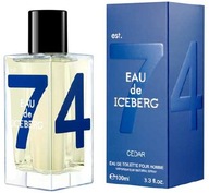 ICEBERG EAU DE ICEBERG CEDAR POUR HOMME EDT 100ml