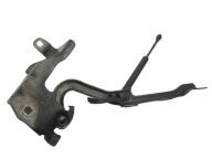 bonnet hinges left right KOMPLET RENAULT LATITUDE colour NV676