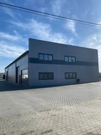 Magazyny i hale, Falenty Nowe, 900 m²