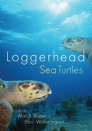 Loggerhead Sea Turtles group work