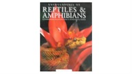 Reptoles i Amphibians - Praca zbiorowa