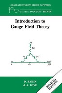 Introduction to Gauge Field Theory Revised