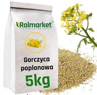 GORCZYCA poplonowa biała żółta poplon paszowa miododajna nasiona paszę 5kg