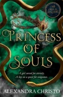 Princess of Souls: from the author of To Kill a