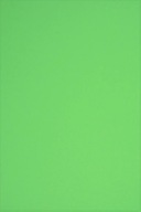 Papier bristol farebný 230g R76 zelený - 10A3